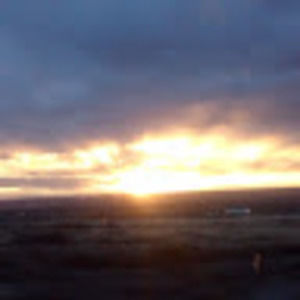 Meet your Posher, Dannie